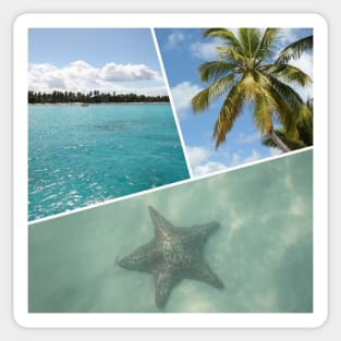 Caribbean Photo Collage - Isla Saona Sticker